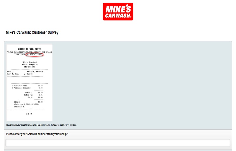 Mikescarwash survey