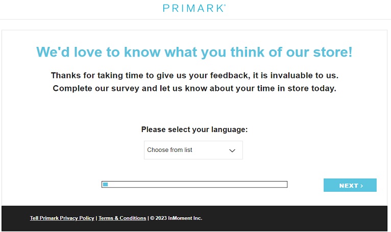 primark survey